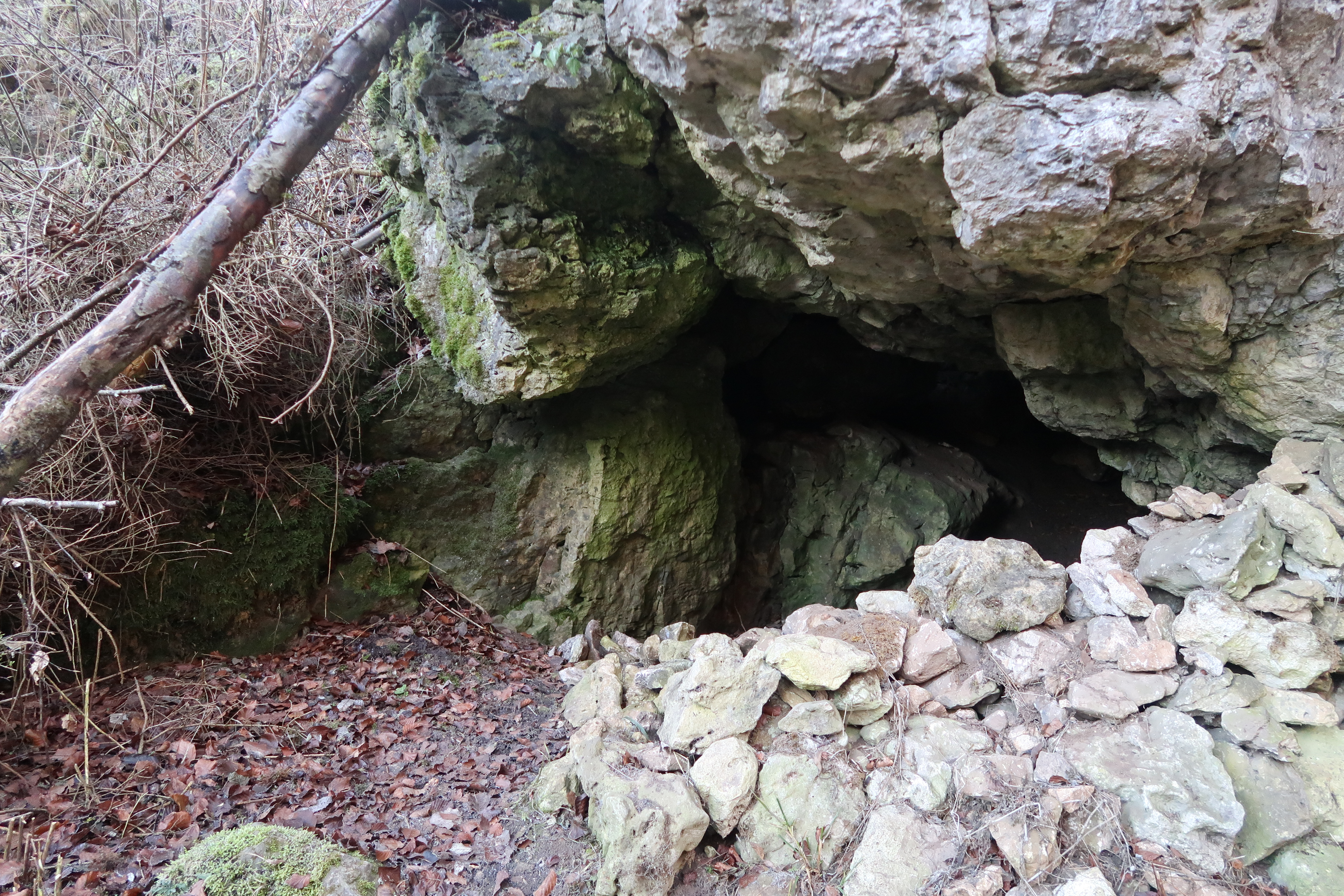 Eingang zur Hiasl-Höhle